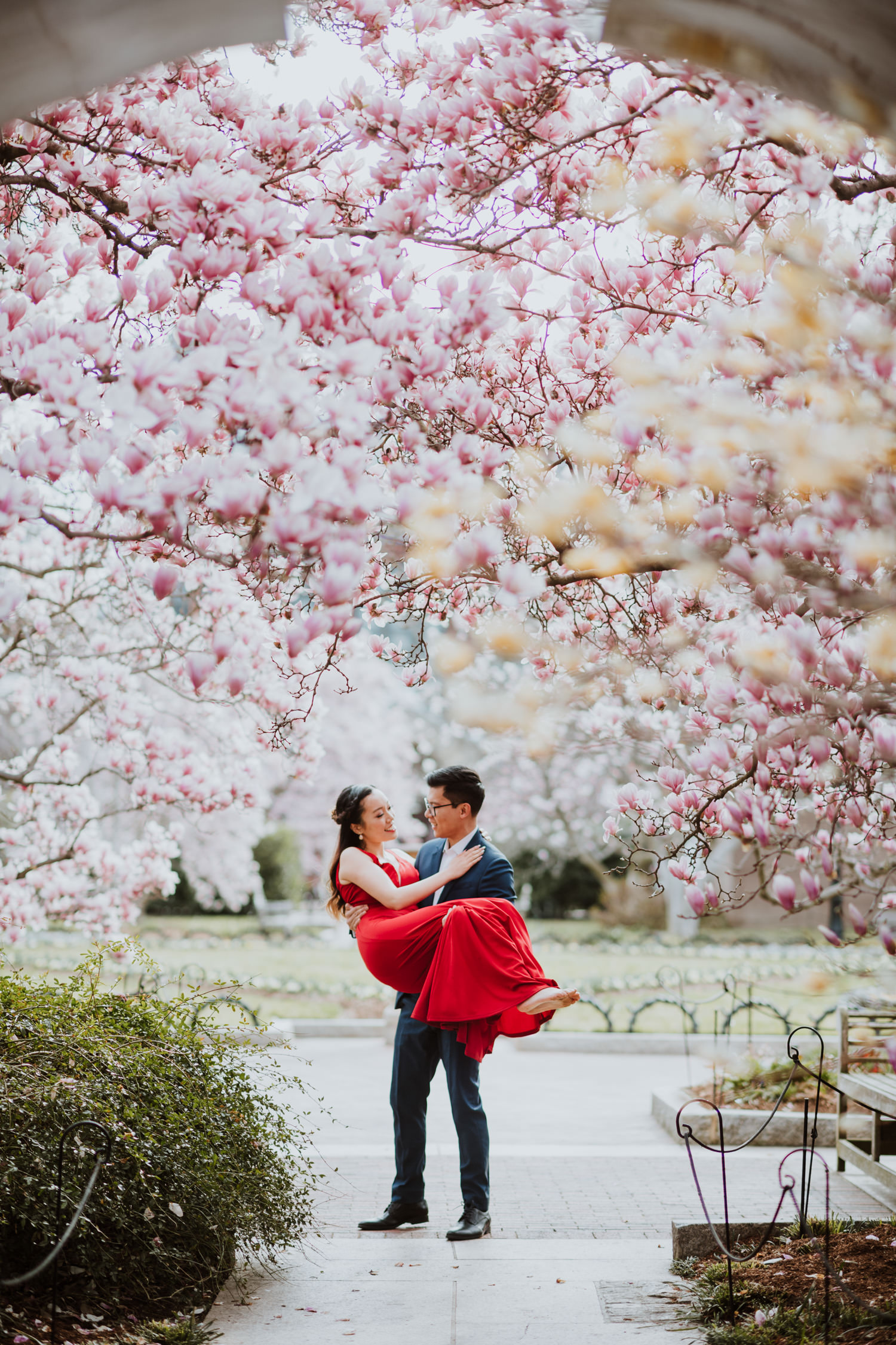 Enid A. Haupt Garden Magnolia Engagement Photo