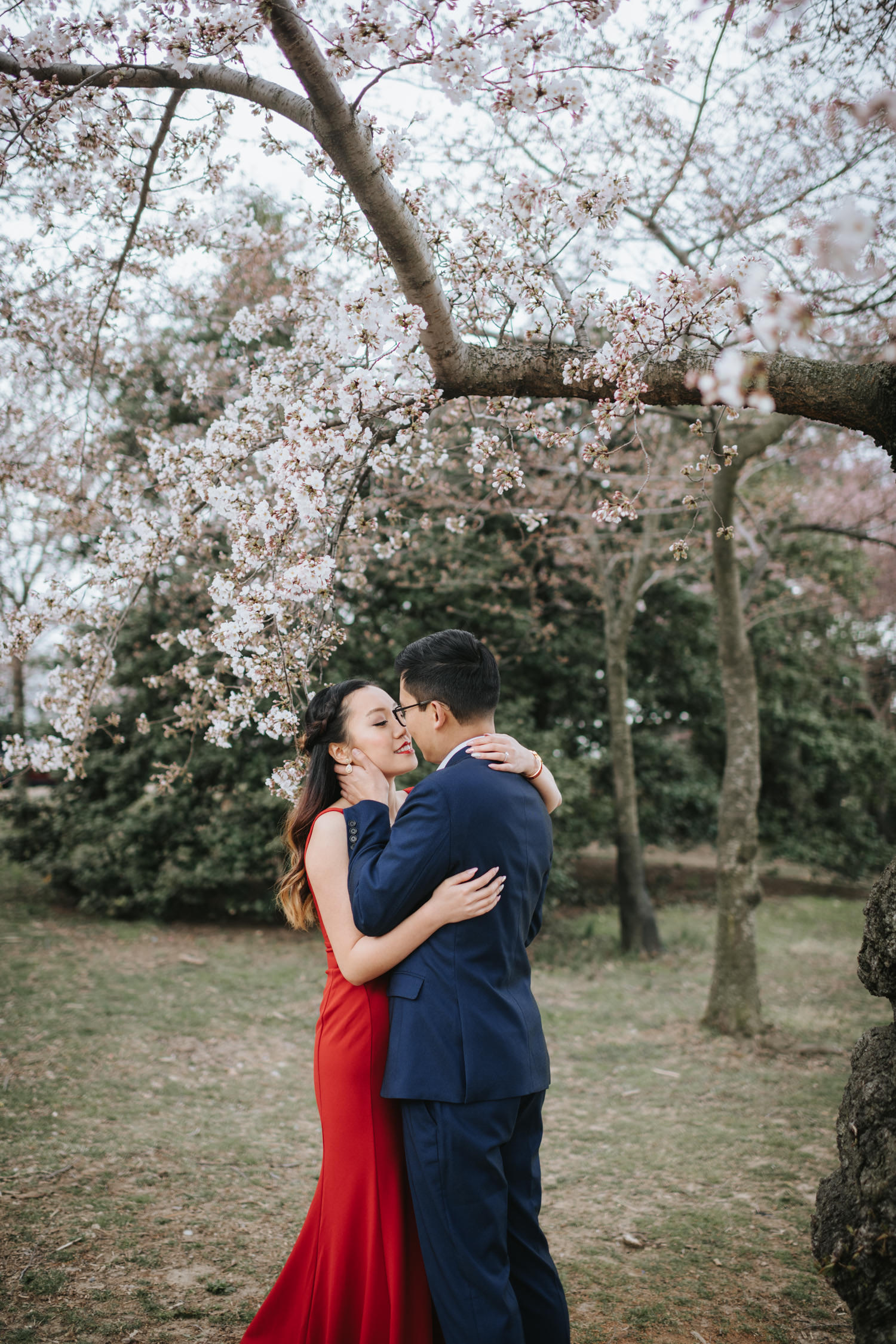 An engagement session during cherry blossom season in Washington DC