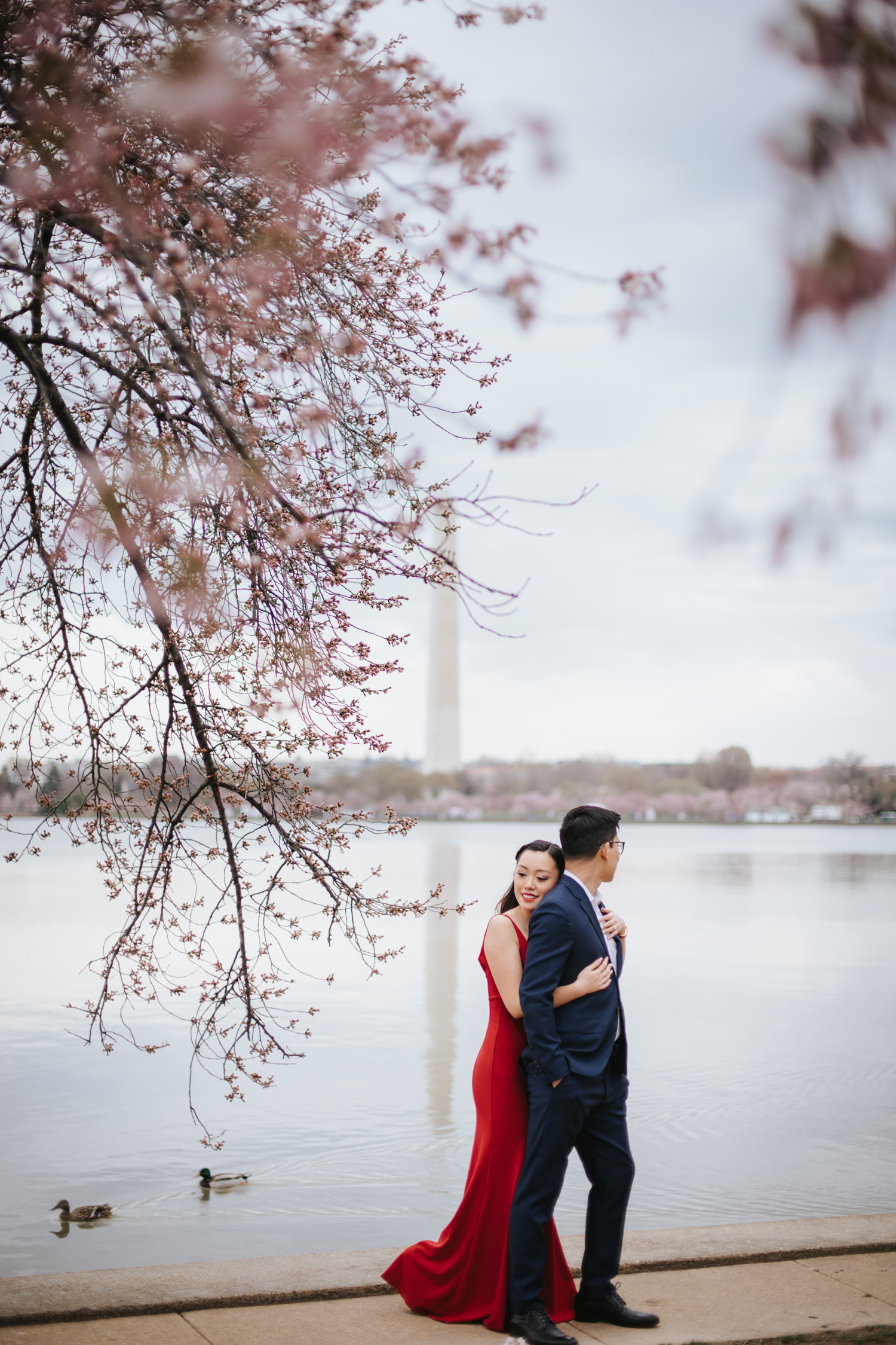 Tidal Basin Cherry Blossom Engagement Photo